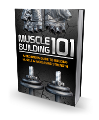 Muscle Building 101